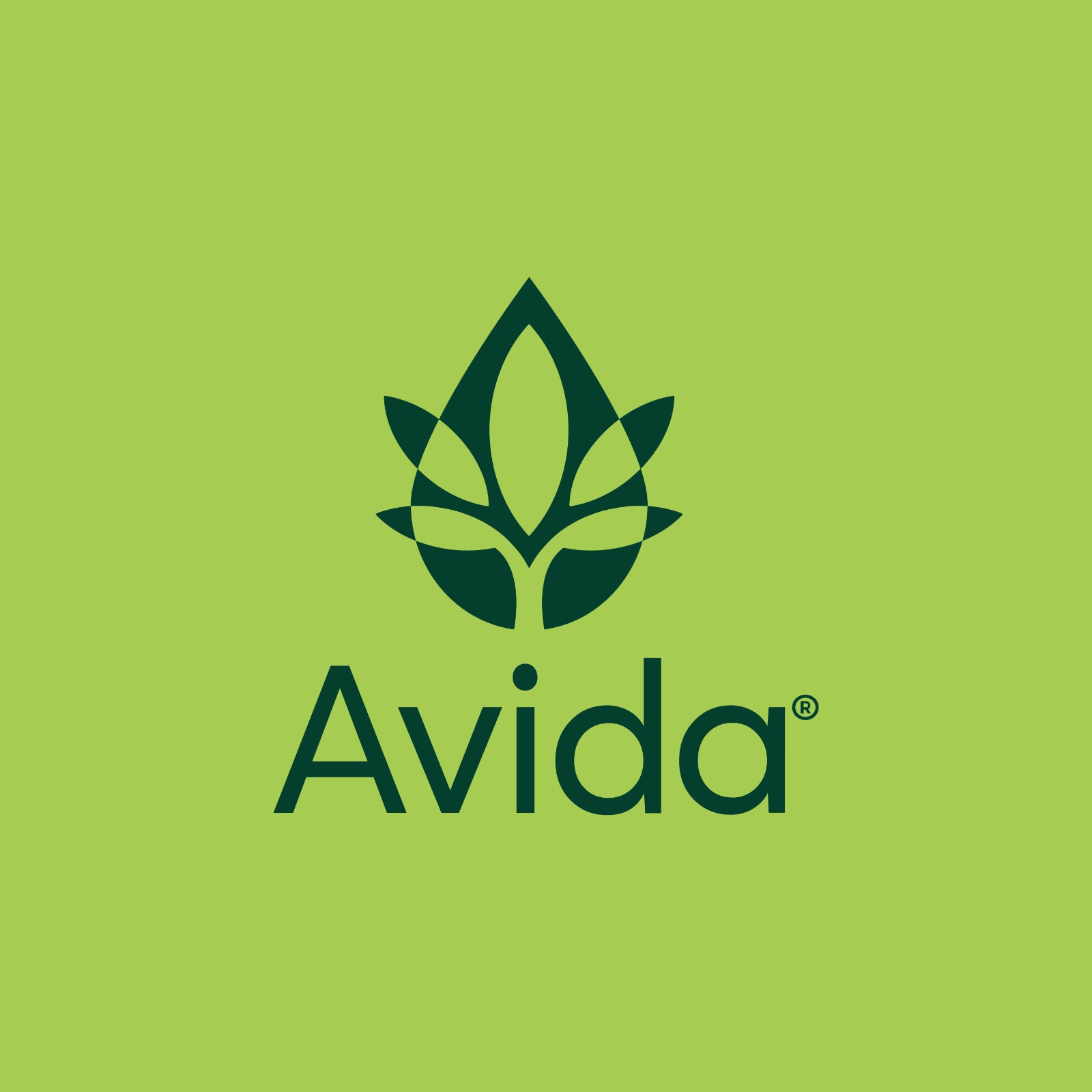 Logo AVIDA MT